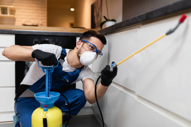 Best Ant Control Services  in Necedah, WI