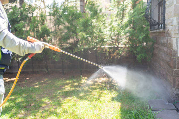 Best Affordable Pest Control Services  in Necedah, WI