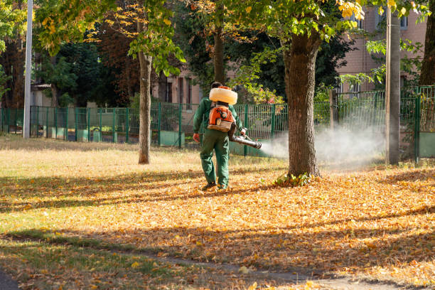 Best Pest Prevention Services  in Necedah, WI